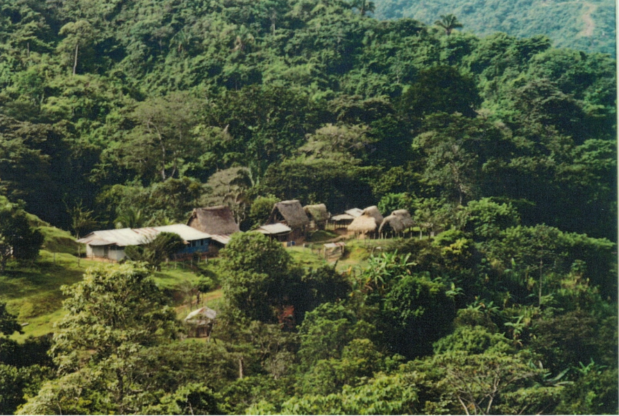Lush green rainforest canopy overlooking the rustic wooden cabins of the Karen Mogensen Nature Reserve in Costa Rica